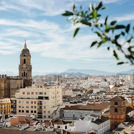 Homely Malaga Cienfuegos, Plaza De La Merced Con Vistas Екстер'єр фото